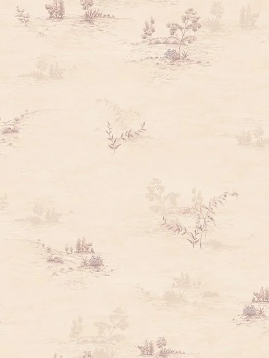 NP6 003