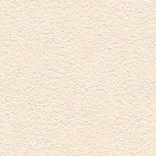 65438-9 R