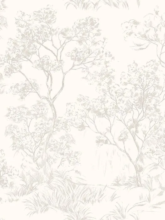 NP7 001