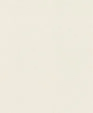 Обои Rasch Lirico 555820