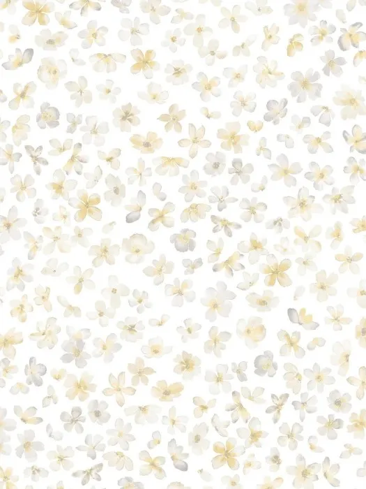 84240-1