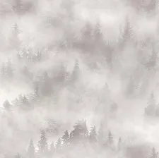 Обои PALITRA My Forest HC71960-21