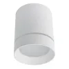Точечный накладной светильник Arte Lamp ELLE A1909PL-1WH | Дом Декора