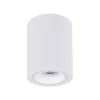 Точечный накладной светильник Arte Lamp IMAI A2267PL-1WH | Дом Декора