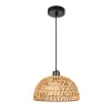 Подвесной светильник Arte Lamp BRUSHWOOD A7086SP-1BK | Дом Декора