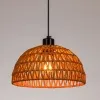 Подвесной светильник Arte Lamp BRUSHWOOD A7086SP-1BK | Дом Декора