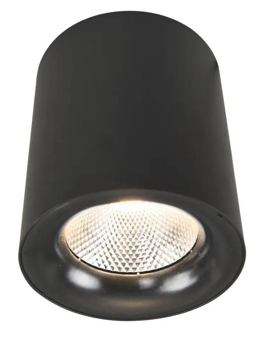 Точечный накладной светильник Arte Lamp FACILE A5118PL-1BK | Дом Декора