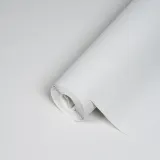 4050-100_1