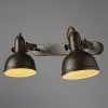 Спот Arte Lamp MARTIN A5213AP-2BR | Дом Декора