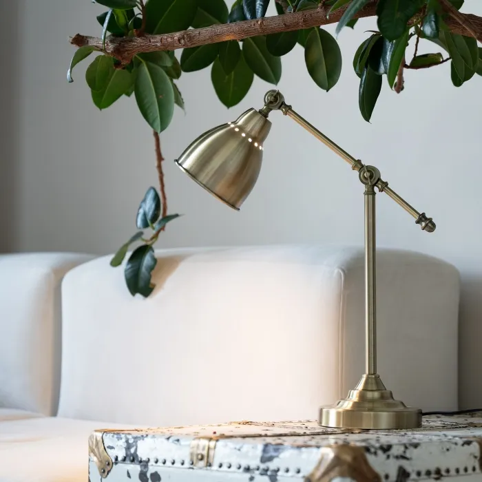 Офисная настольная лампа Arte Lamp BRACCIO A2054LT-1AB | Дом Декора