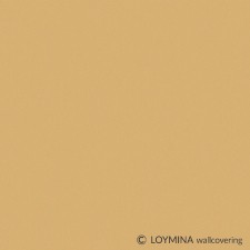 NK4 004-1