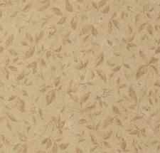 Обои Loymina Rosa Dragomirski R2 004