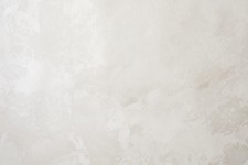 VS285922