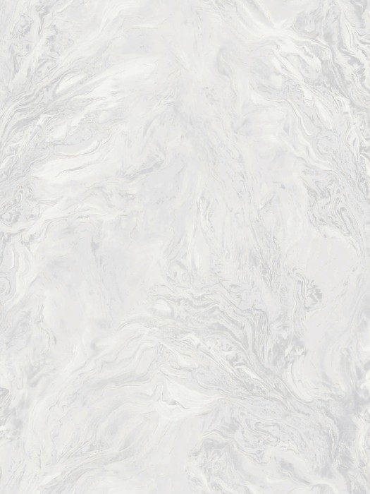 R217113