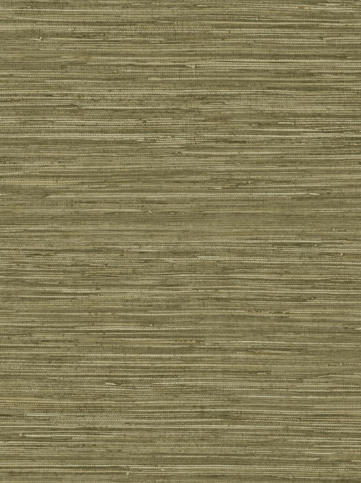 DR1205