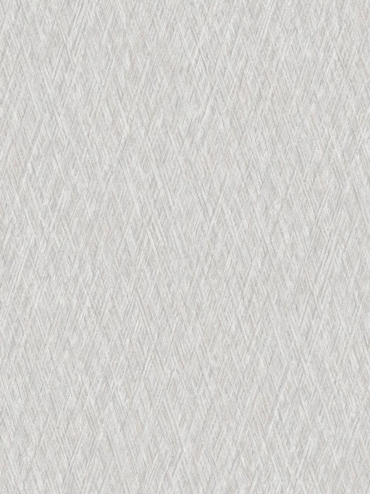 VE 1005