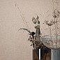 Обои Marburg Boho 35718